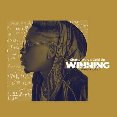 Winning Formula 專輯 Shatta Wale