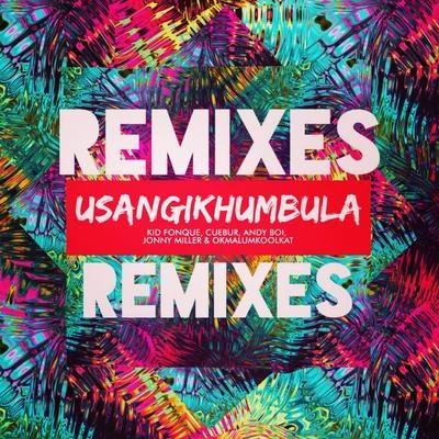 Usangikhumbula (Remixes) 專輯 Cuebur