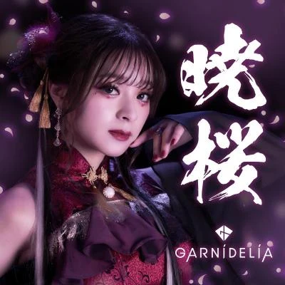 暁桜 專輯 GARNiDELiA