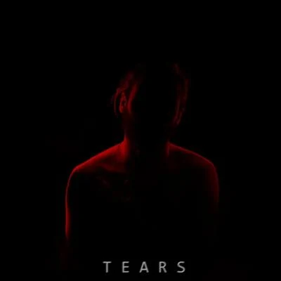 Tears (feat. Veronica Bravo) 專輯 Broeging