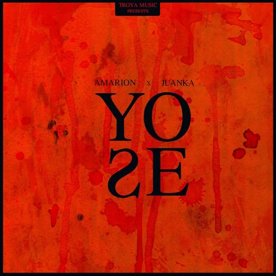 Yo Se 专辑 Amarion/Chris Wandell