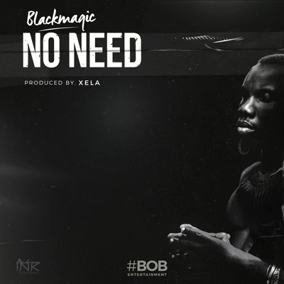 No Need 專輯 Blackmagic/Bigbad/Seyi Shay