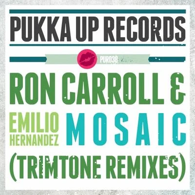 Mosaic (Trimtone Remixes) 專輯 Ron Carroll