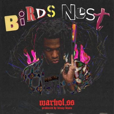 Warhol.ss Birds Nest