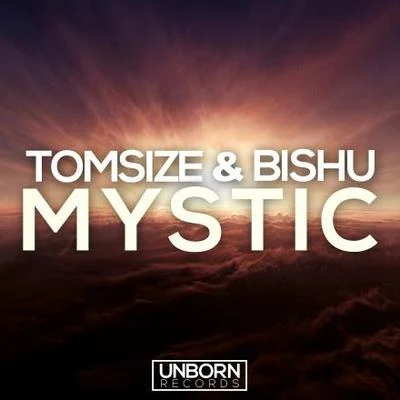 Mystic (Original Mix) 专辑 Tomsize/Simeon