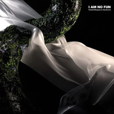 I Am No Fun 專輯 flawed mangoes