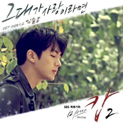 미세스캅2 OST Part.2 专辑 任瑟雍