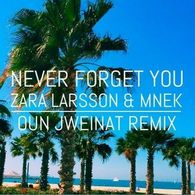 Never Forget You (Oun Jweinat Remix) 專輯 Oun Jweinat