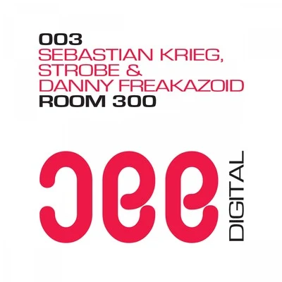 Room 300 專輯 Sebastian Krieg/JunkDNA