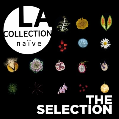 La collection naïve: The Selection 專輯 Anne Gastinel