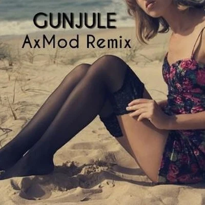 Gunjule (AxMod Remix) 專輯 Axmod/Chromeo