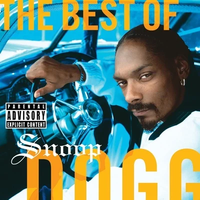 The Best Of Snoop Dogg 專輯 New Boyz/Snoop Dogg/Alexandra Stan/Simple Plan/The Game