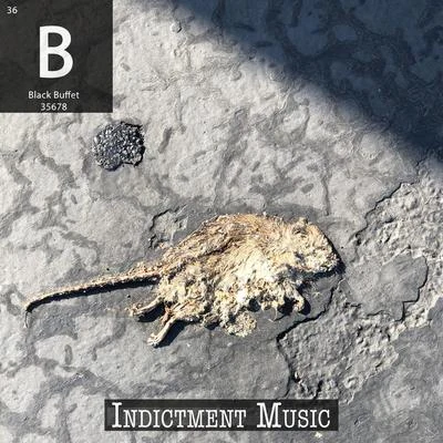 Indictment Music 专辑 Cassius Jay/Dj RootsQueen/Black Buffet/Miss Mulatto/Dae Dae