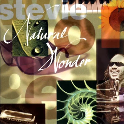 Stevie Wonder Natural Wonder [live]