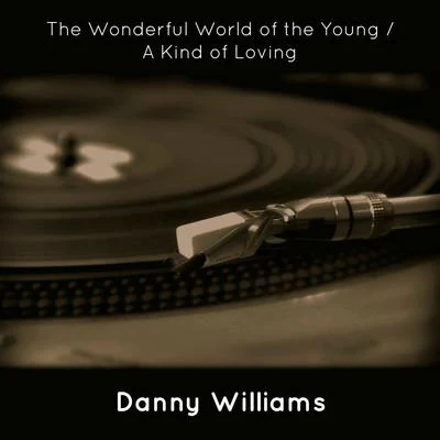 The Wonderful World of the YoungA Kind of Loving 专辑 Danny Williams