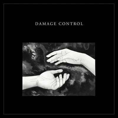 Damage Control (remixes) 專輯 Perttu