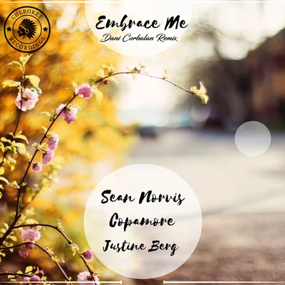 Embrace Me (Dani Corbalan Remix) 专辑 Sean Norvis/Berat Oz/Audioboy