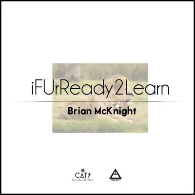 iFUrReadyToLearn 专辑 Brian McKnight