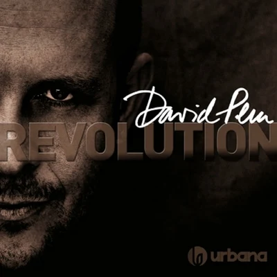 Revolution 專輯 David Penn