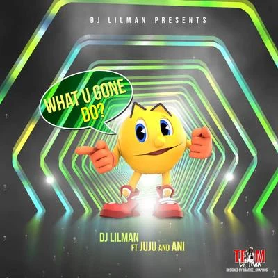 What You Gone Do (feat. juju & ani) 专辑 Dj Lilman