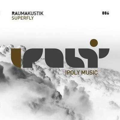 Superfly 專輯 Raumakustik