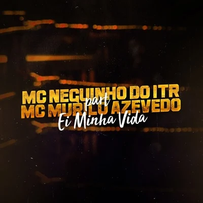 Ei Minha Vida 專輯 Mc Neguinho do ITR/MC Guidanny