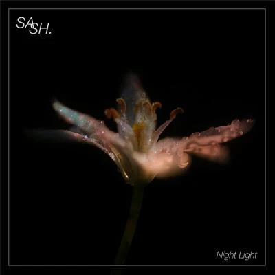 Night Light 專輯 Sash