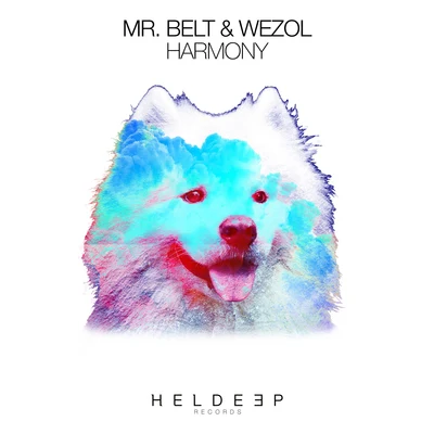 Mr. Belt & Wezol Harmony