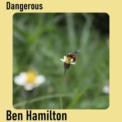 Dangerous 專輯 Ben Hamilton/Carolina Marquez/Stefy De Cicco