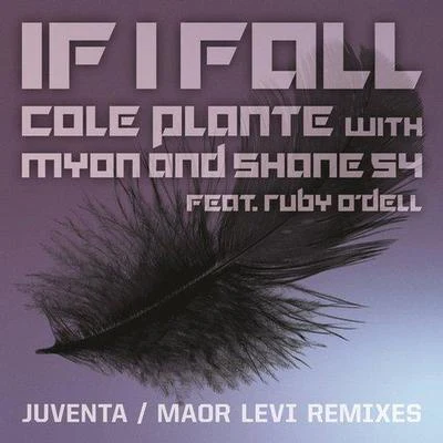 Cole PlanteCameron If I Fall (Remixes)