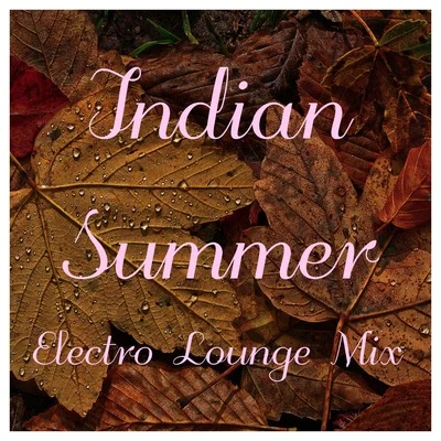 Chill Out Beach Party Ibiza Indian Summer Electro Lounge Mix