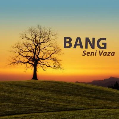 Seni Vaza 專輯 Bang