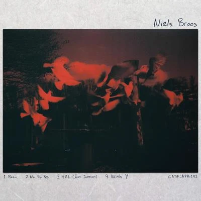 Niels Broos 專輯 Niels Broos/Goodnight Cody/Sara Z/Daedelus/Jonah Levine Collective