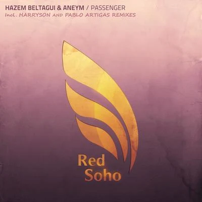 Hazem Beltagui Passengers Remixed