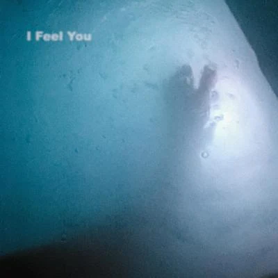 I Feel You 專輯 Kaskade/Seamus Haji