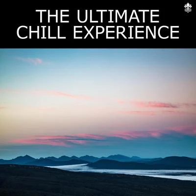 The Ultimate Chill Experience 專輯 Noxive