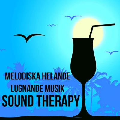 Sound Therapy - Melodiska Helande Lugnande Musik med Natur Instrumental Piano Bar Lounge Chill Ljud 專輯 Studying Music