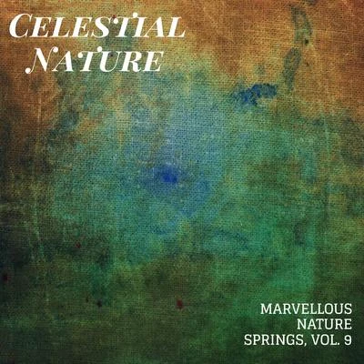 Celestial Nature - Marvellous Nature Springs, Vol. 9 專輯 White Noise Meditation/Relax Ambience