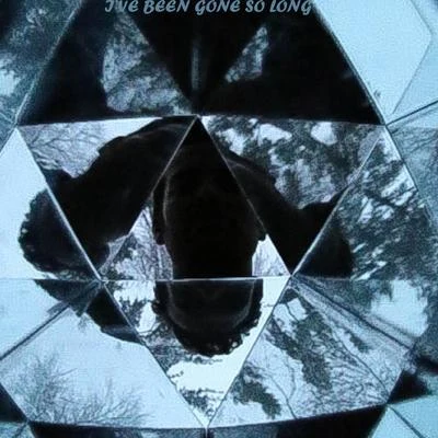 I&#x27;ve Been Gone so Long 专辑 Randy Gallerin/Jay Stone/Paul Eastburn/Walter Earl