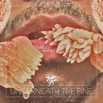 Underneath The Pine 專輯 Toro y Moi