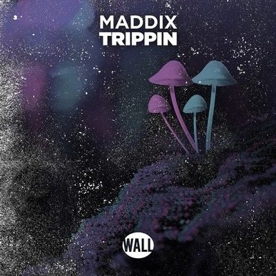 Trippin 专辑 Maddix/The Rocketman