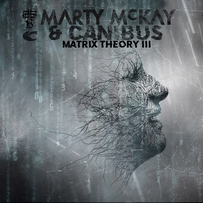 Matrix Theory III 專輯 Marty McKay