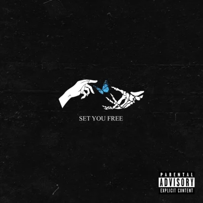 Set You Free 专辑 Phora