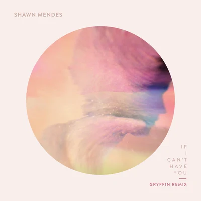 Shawn Mendes If I Cant Have You (Gryffin Remix)