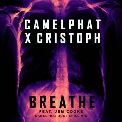 Breathe (CamelPhat Just Chill Mix) 專輯 CamelPhat