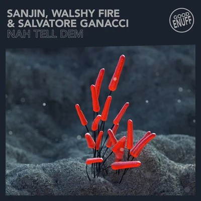 Nah Tell Dem 專輯 Walshy Fire