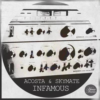 Skymate Infamous