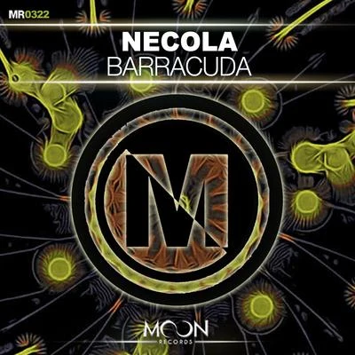 Barracuda 专辑 Fast Foot/Necola