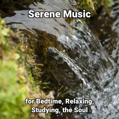 Serene Music for Bedtime, Relaxing, Studying, the Soul 專輯 Relaxing Music/A Sudden Rainstorm/Rain Recorders