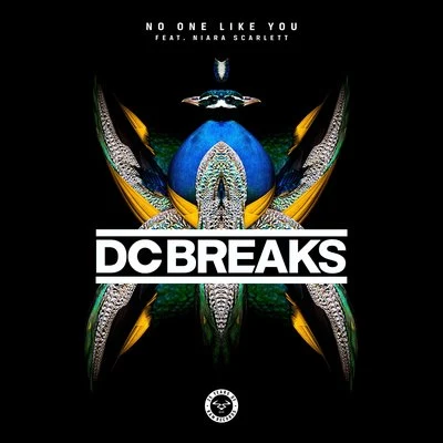 No One Like You (feat. Niara Scarlett) 專輯 DC Breaks